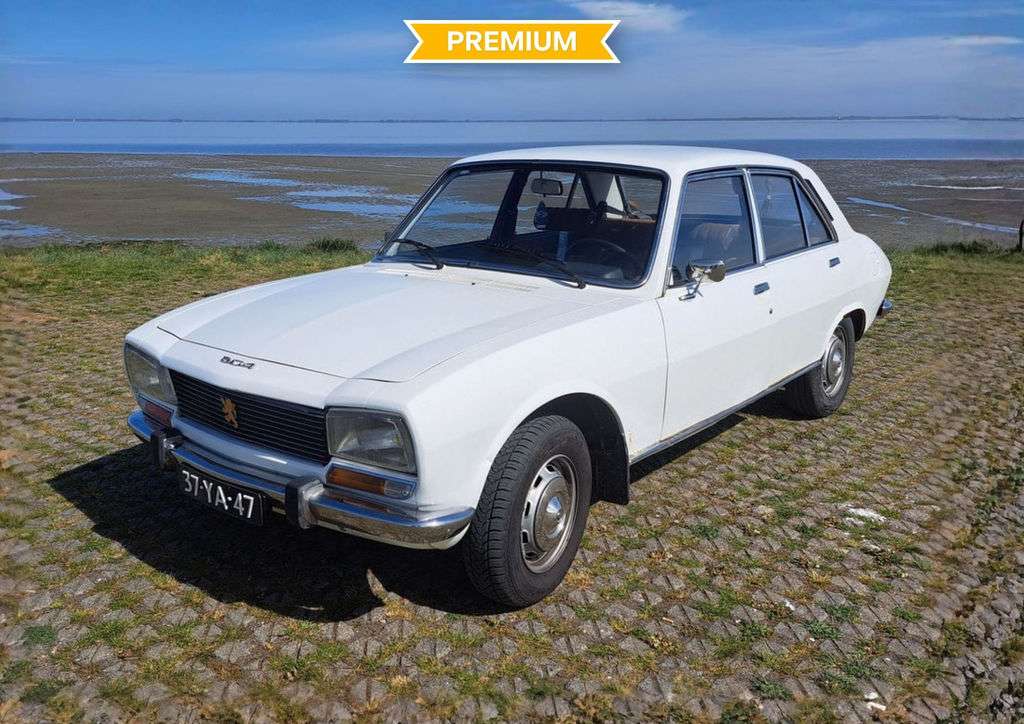 Peugeot 504