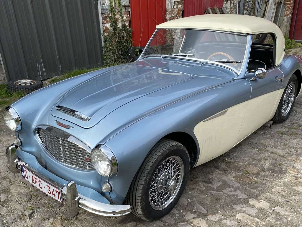 Austin Healey 100