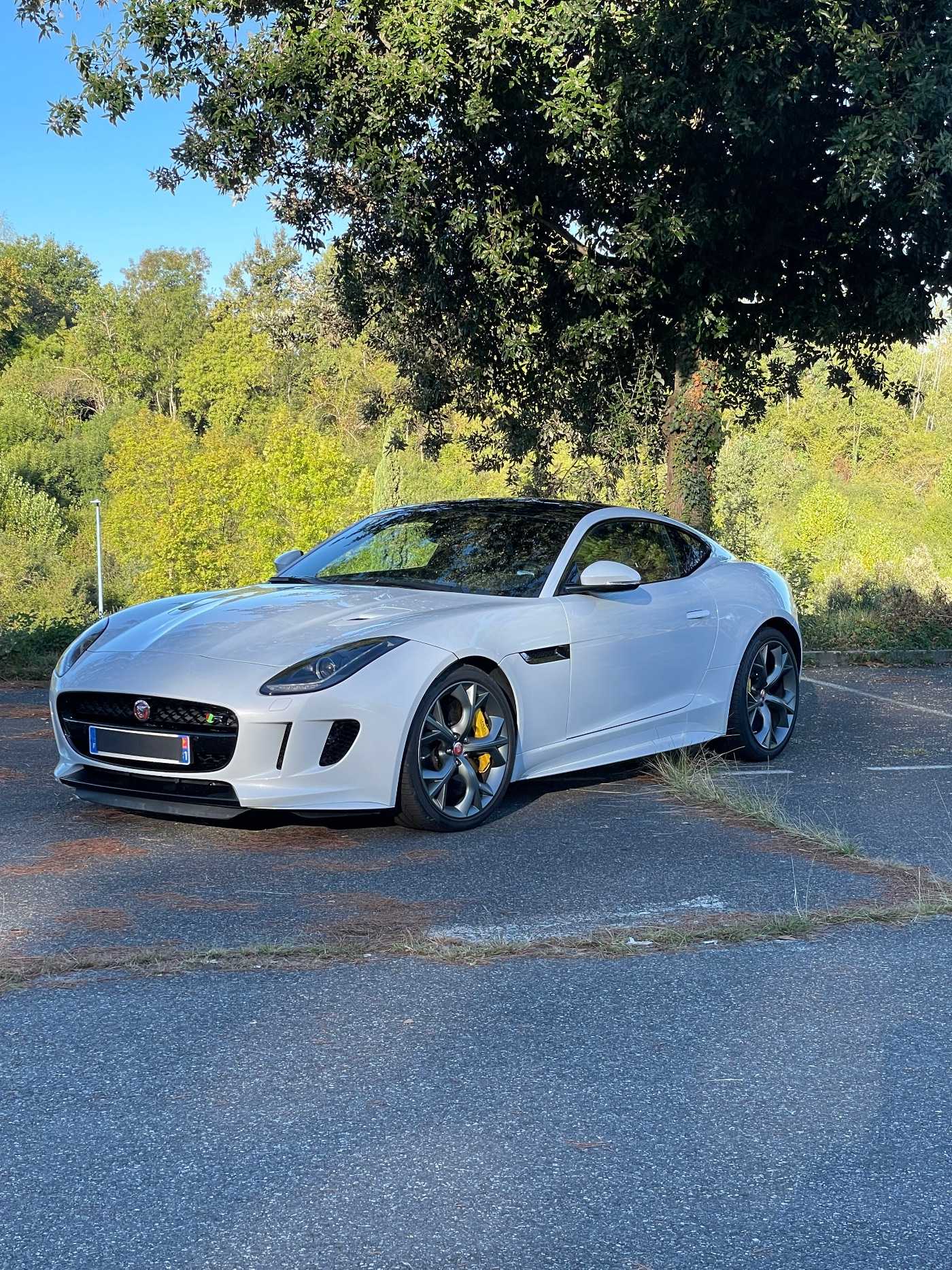 Jaguar Type F
