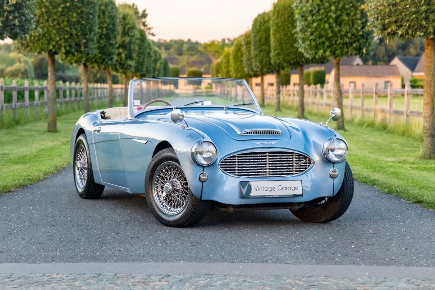 Austin Healey 3000
