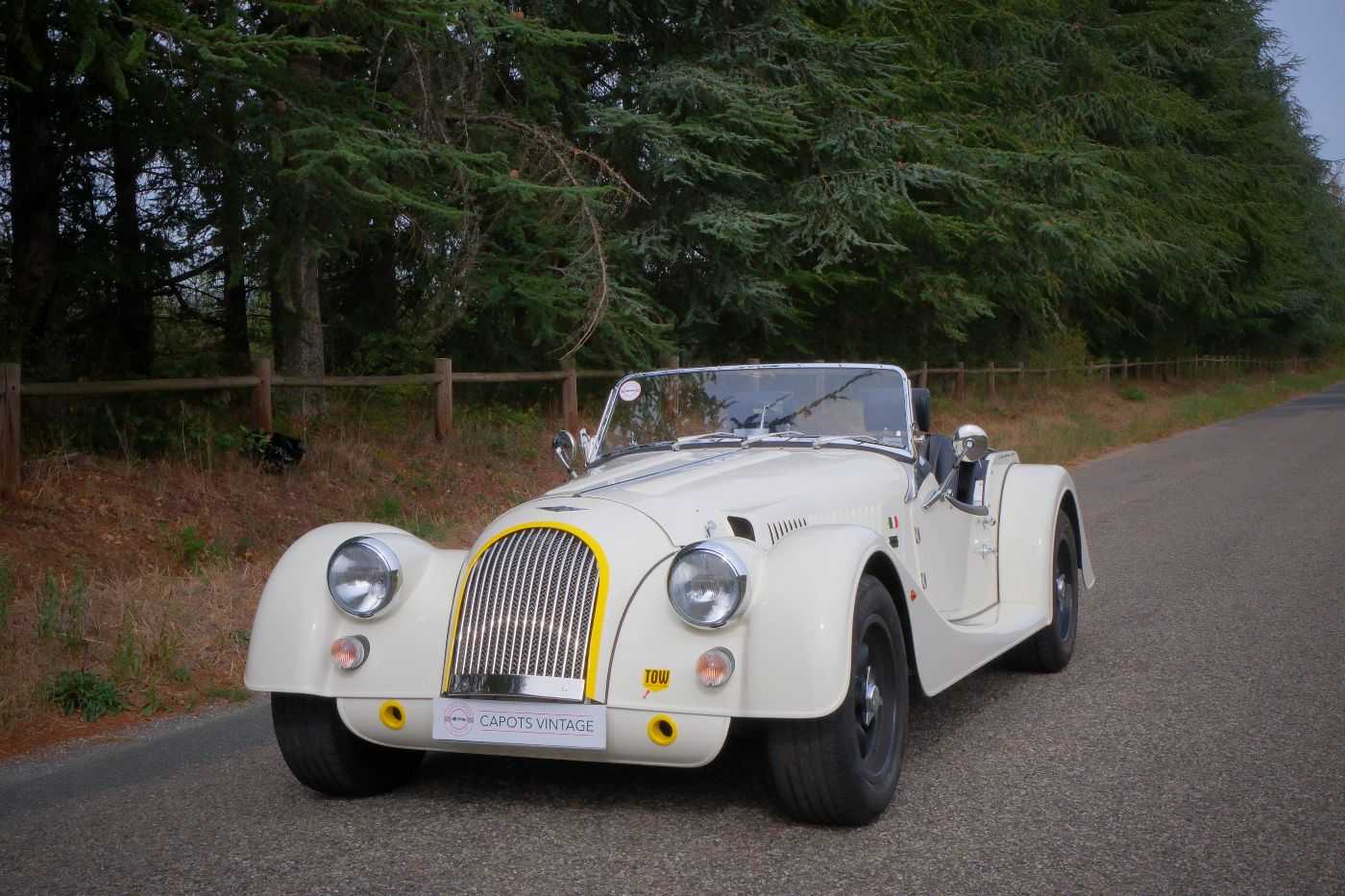 Morgan +4