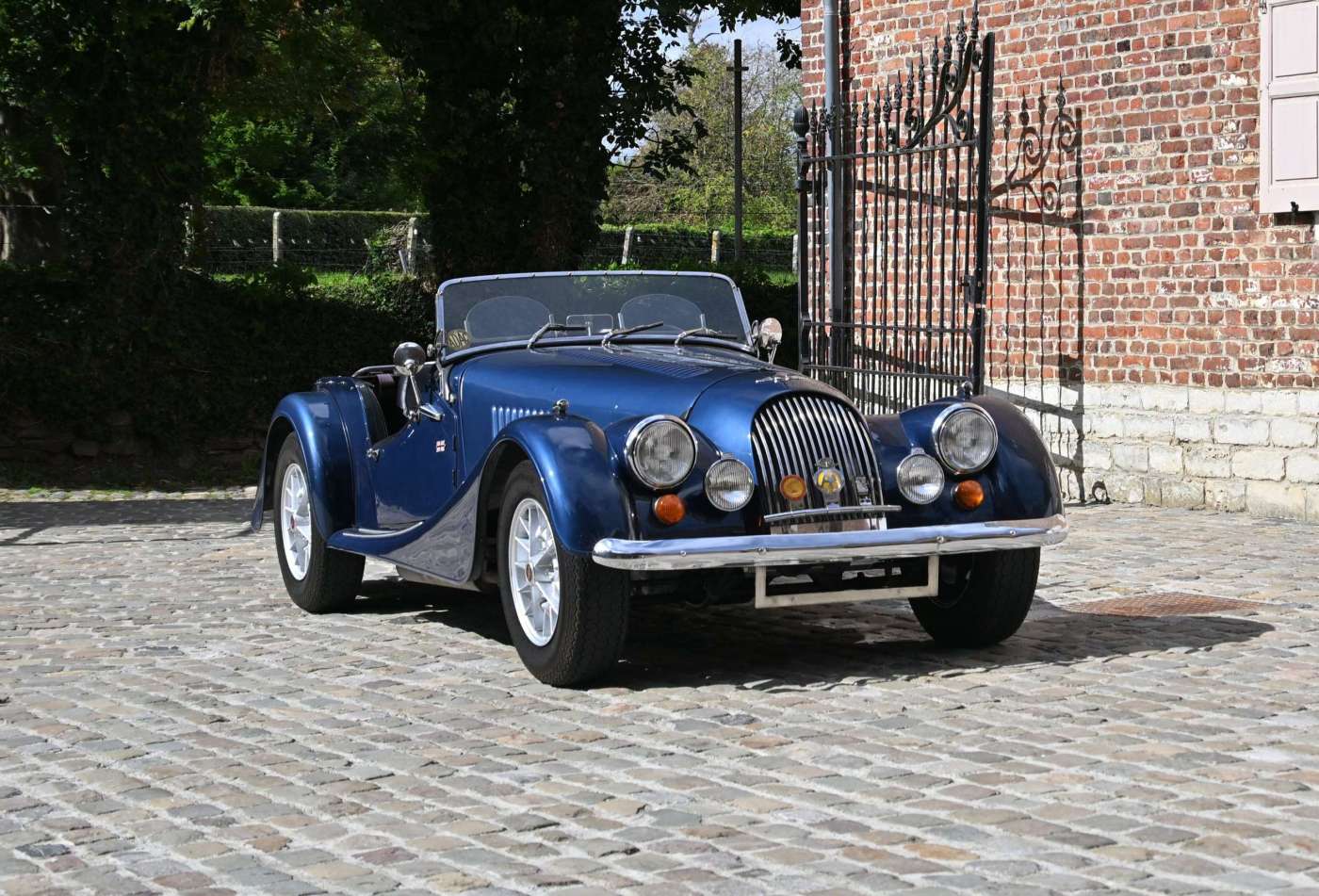 Morgan +8