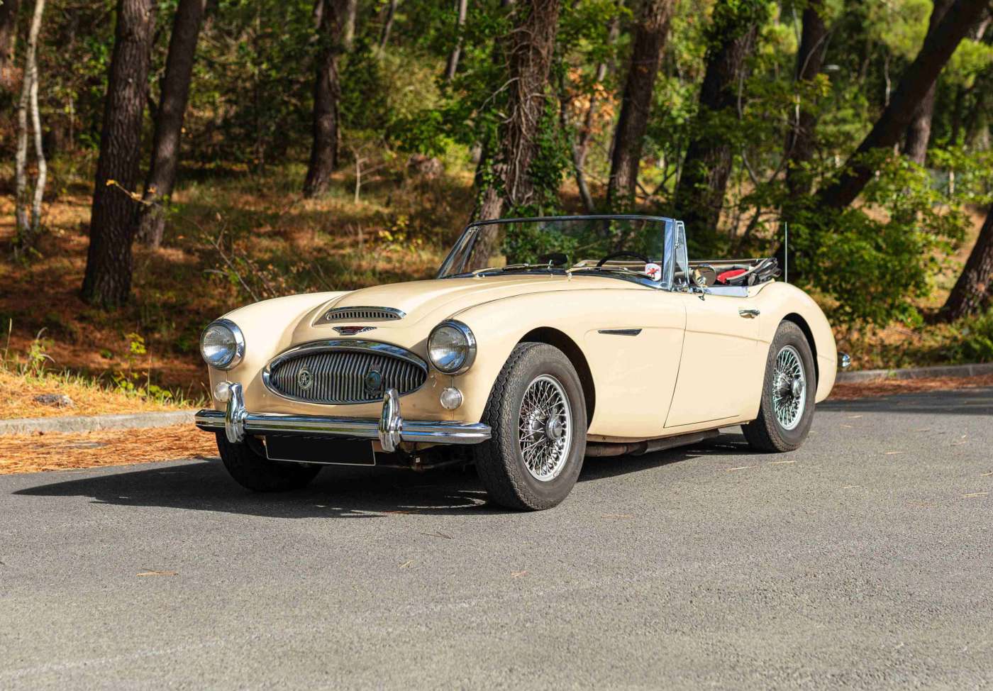 Austin Healey 3000