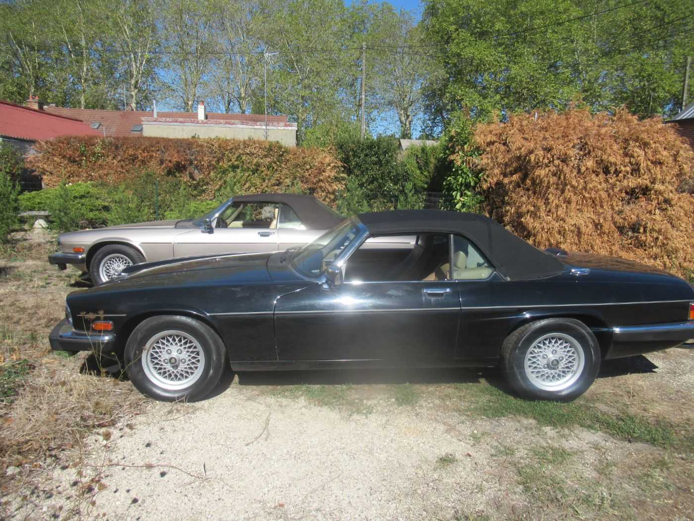 Jaguar XJS
