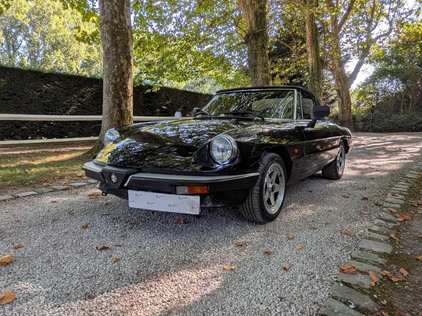 Alfa Roméo Spider