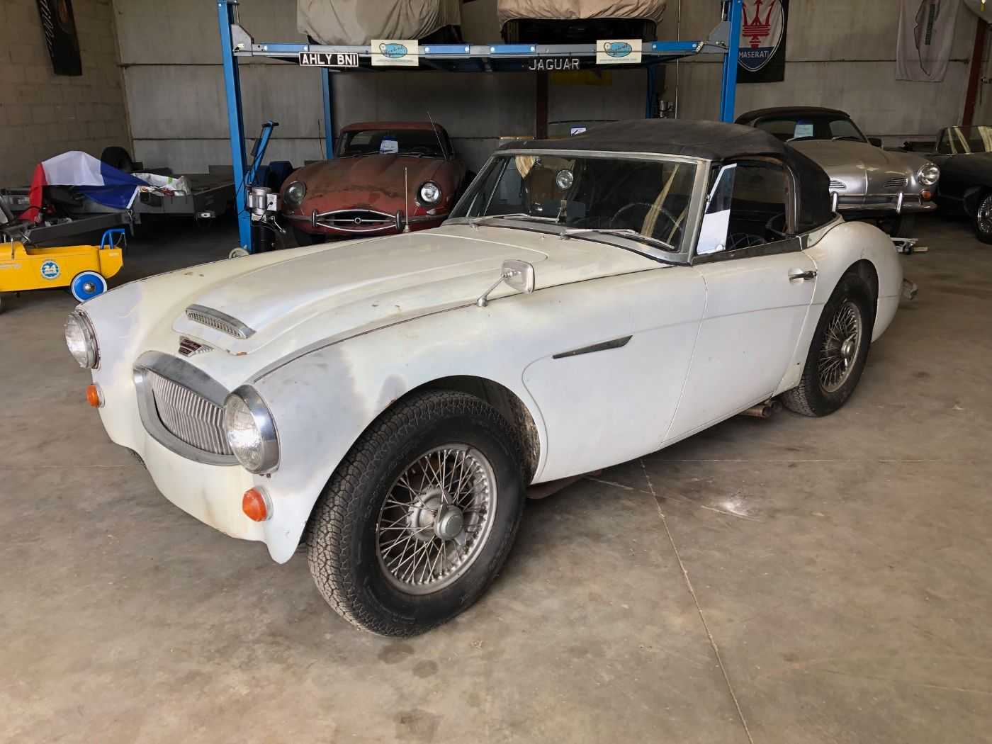 Austin Healey 3000