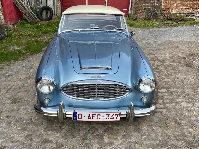 Austin Healey 100 Bn4 de 1957