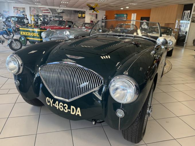 Austin Healey 100 / 4 BN1( Le Mans) de 1954