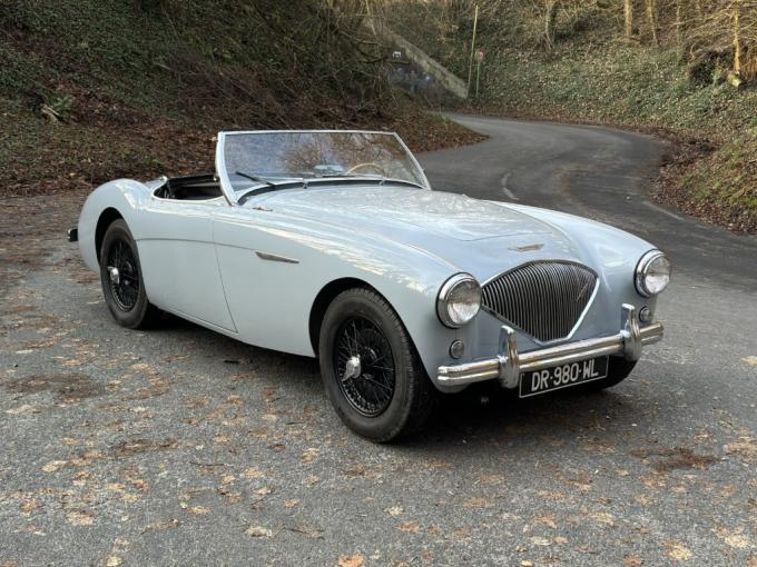 Austin Healey 100 / 4 BN1 - KIT 100M de 1954