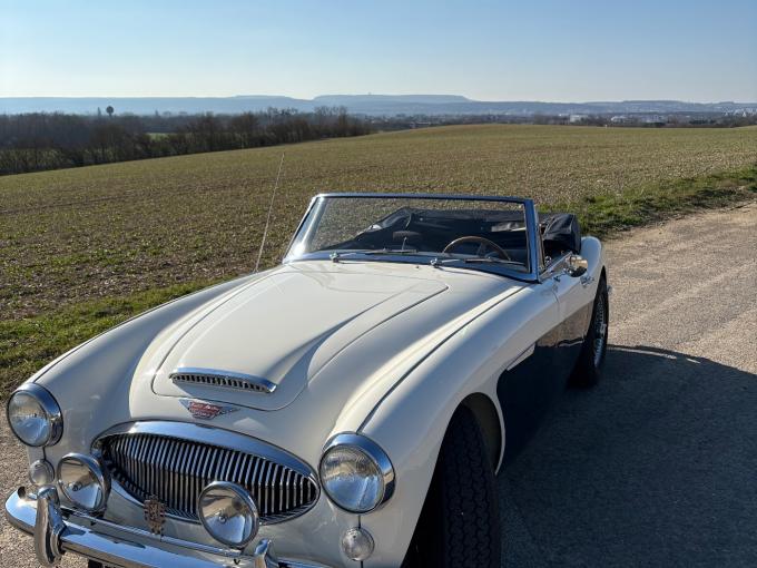 Austin Healey 3000 BJ8 MKIII  de 1965