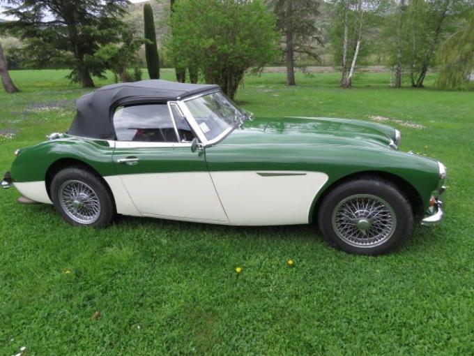 Austin Healey 3000 MK III BJ8 de 1967