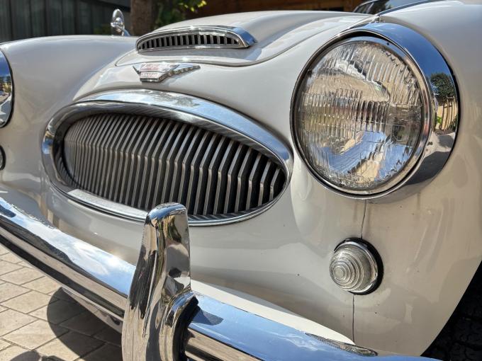 Austin Healey 3000 BJ7 - 1963 de 1963