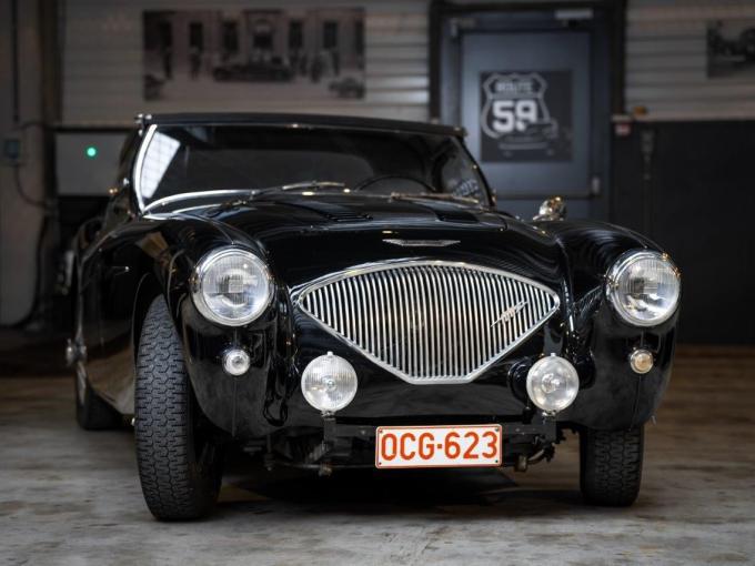 Austin Healey 100 / 4 BN4 de 1955