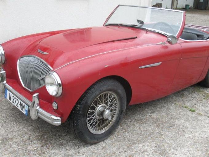 Austin Healey 100 BN1 de 1955