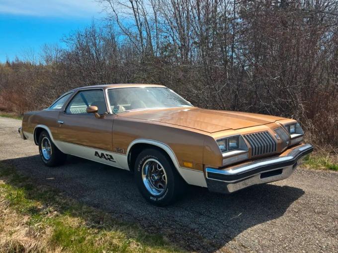 Oldsmobile Cutlass 442 de 1976
