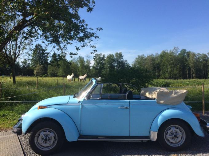 Volkswagen Coccinelle beetle karmann convertible de 1979