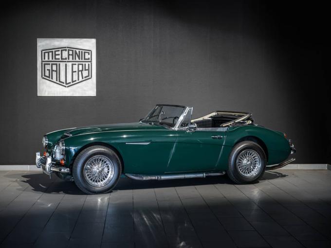 Austin Healey 3000 Mk III BJ8 de 1966