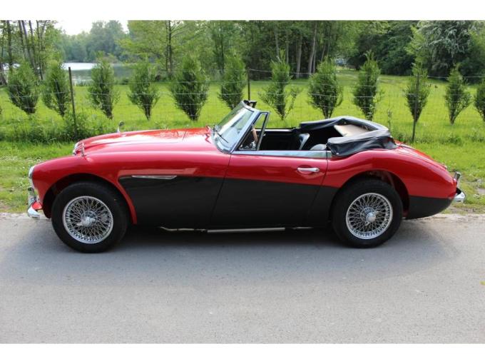 Austin Healey 3000  de 1964
