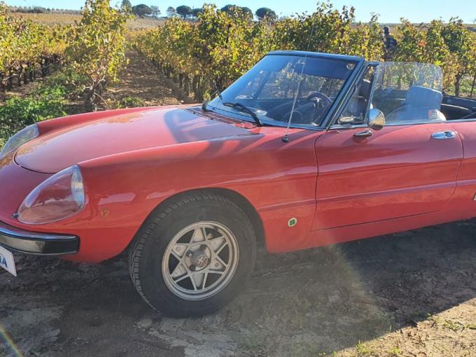 Alfa Roméo Spider 2000 CODA TRONCA de 1976