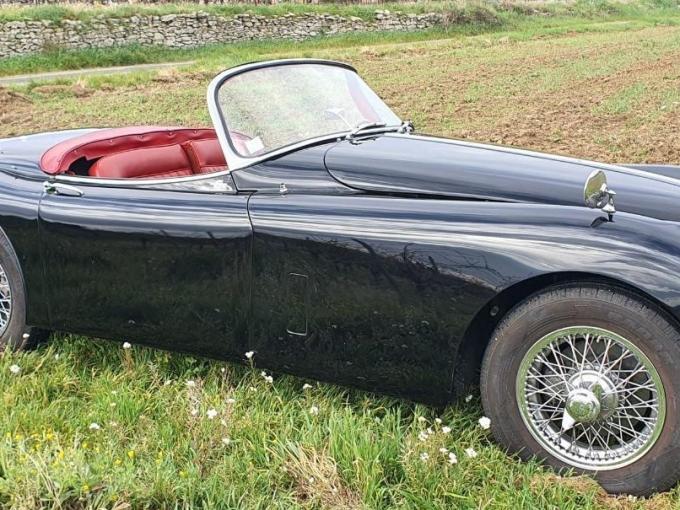 Jaguar Série - XK  de 1958