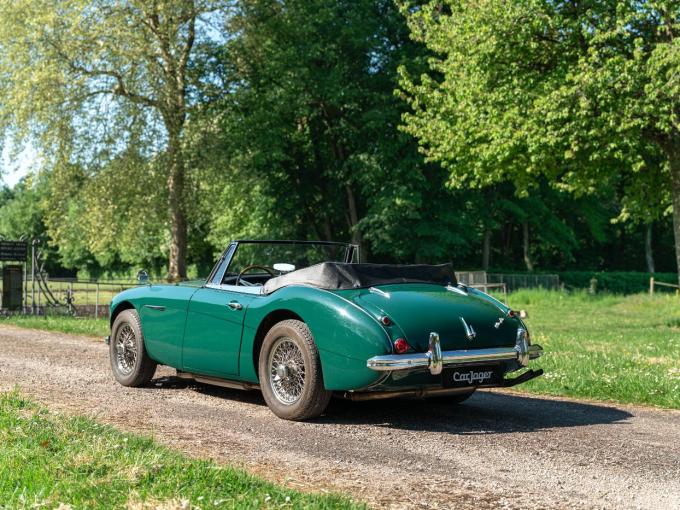 Austin Healey 3000 BJ8 de 1965
