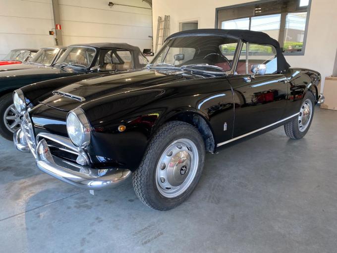 Alfa Roméo Giulia Spider 1600 de 1962