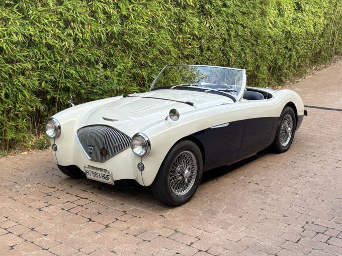 Austin Healey 100 M de 1956