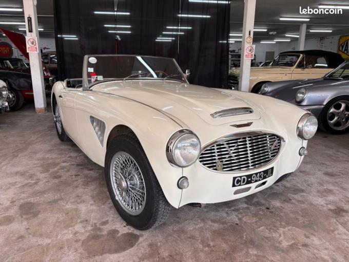 Austin Healey 3000 BT7 2+2 Overdrive de 1960