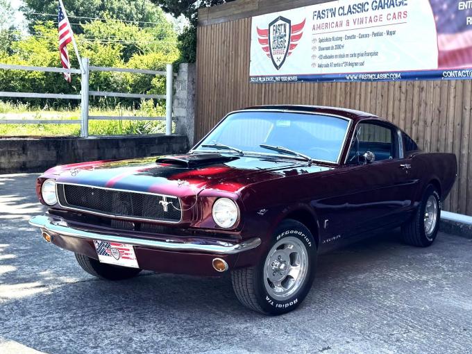 Ford Mustang Fastback Shelby CLONE GT 350 TRIBUTE  de 1965