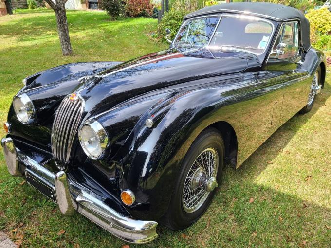 Jaguar Série - XK XK 140 de 1956