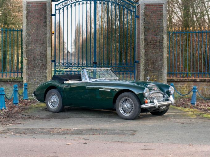 Austin Healey 3000 MKIII BJ8 de 1965