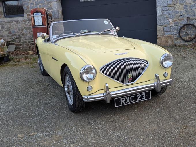 Austin Healey 100 BN2 de 1954