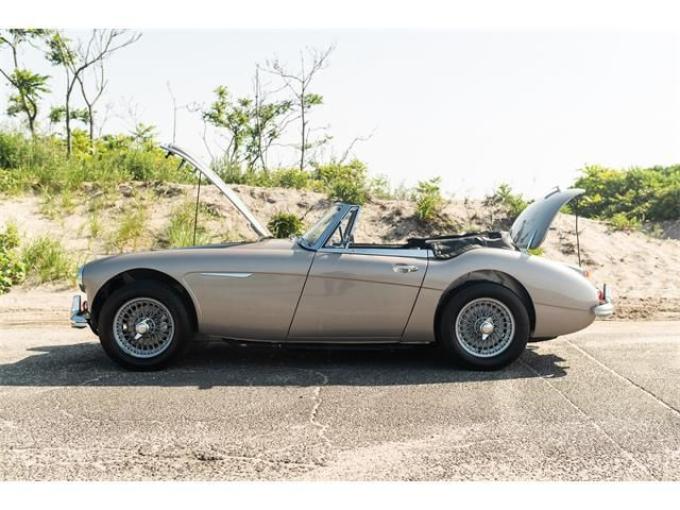 Austin Healey 3000 Mark III BJ8 de 1967