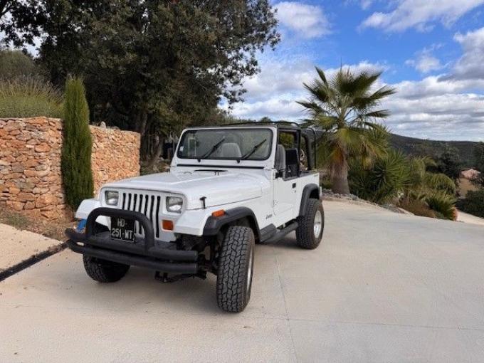 Jeep Wrangler 4.0L HIGH OUTPUT &ndash; &Eacute;TAT COLLECTION de 1992