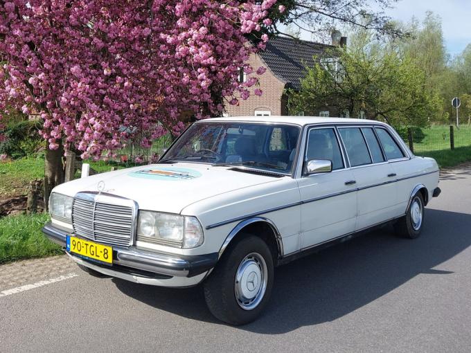 Mercedes-Benz 250 Pullman Limousine de 1984