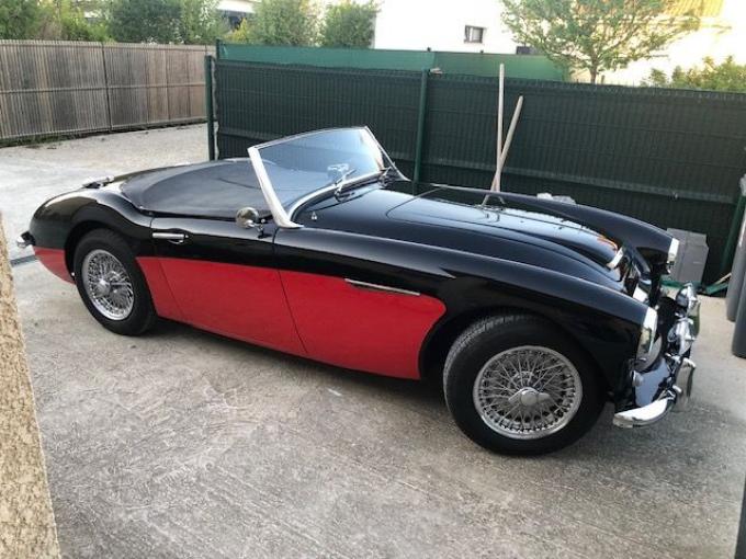 Austin Healey 100 / 6 de 1959
