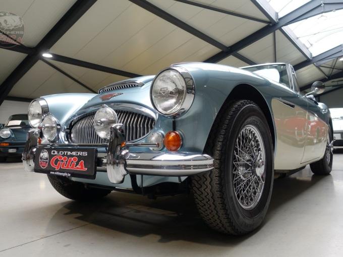 Austin Healey 3000 MkIII BJ8 de 1967