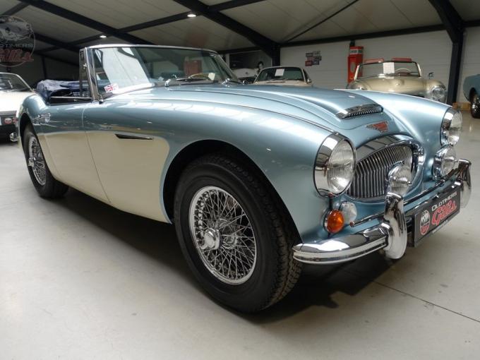 Austin Healey 3000 MkIII BJ8 de 1967