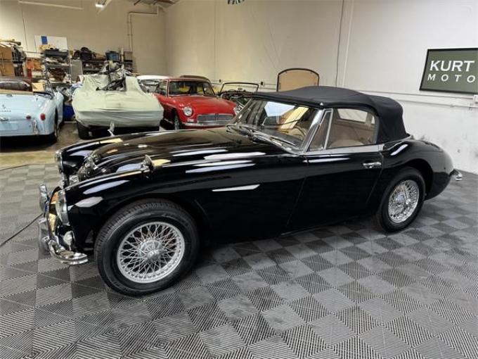 Austin Healey 3000 Mark III BJ8 de 1965