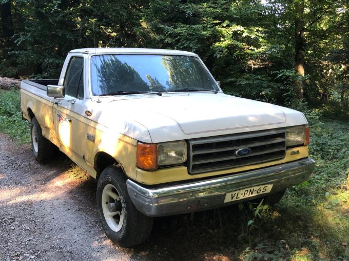Ford Pick-up F 150 CUSTOM de 1990
