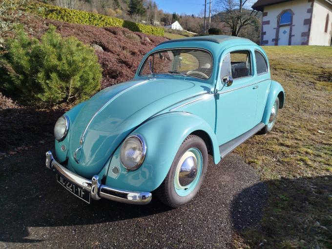 Volkswagen Coccinelle  de 1955