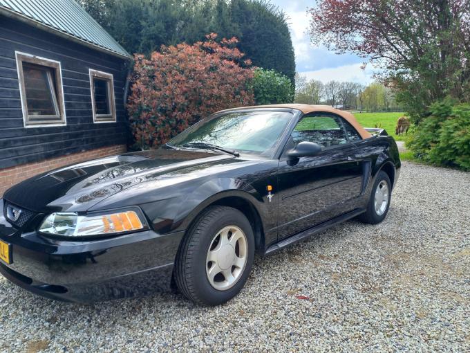 Ford Mustang V6 Cabriolet de 2000