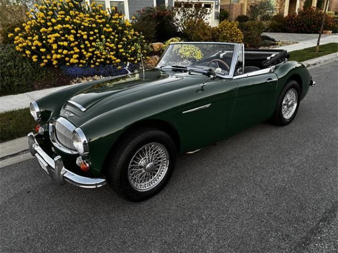 Austin Healey 3000 Mark III BJ8 de 1967