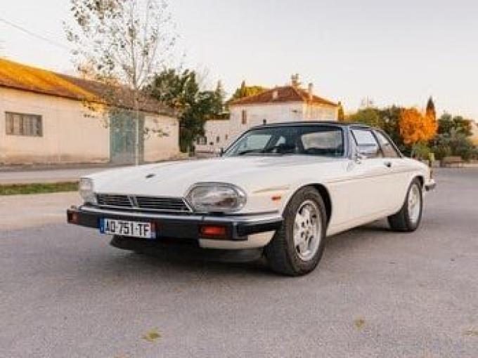 Jaguar XJS C 3.6 de 1985