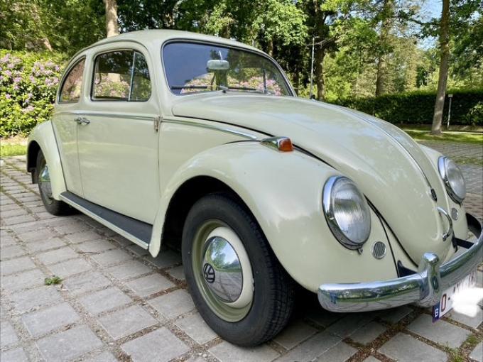 Volkswagen Coccinelle 1200 de 1960