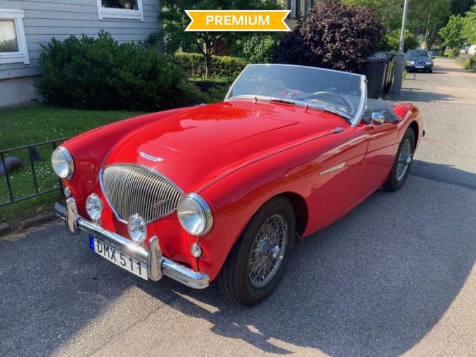 Austin Healey 100 / 4 BN1 de 1954