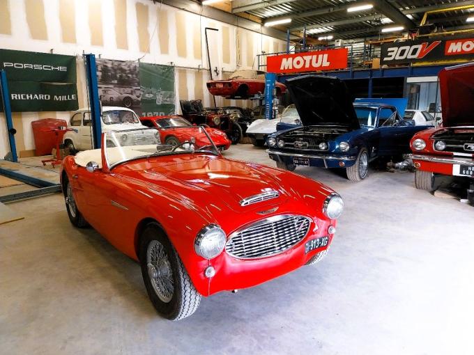 Austin Healey 3000 Bt7 de 1959