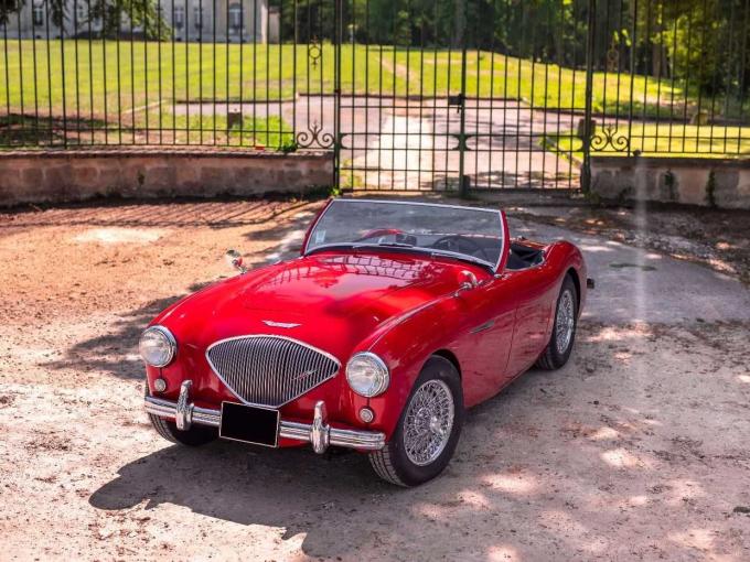 Austin Healey 100 / 4 BN1 de 1955