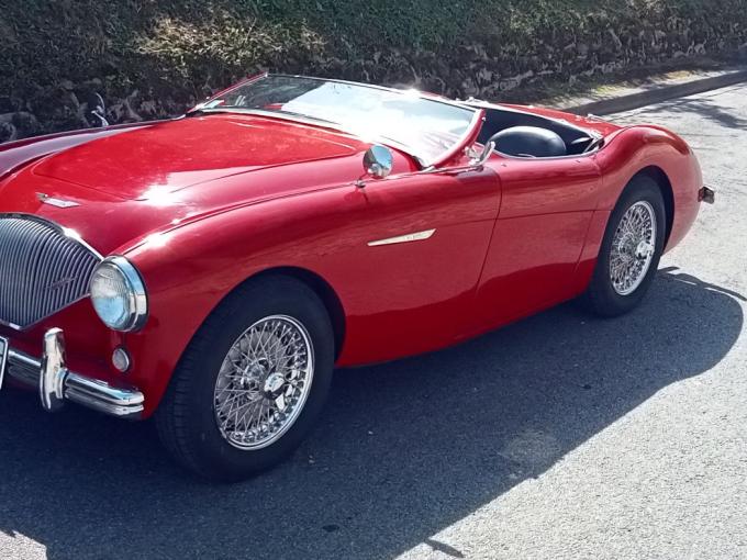 Austin Healey 100 / 4 bn1 overdrive de 1955