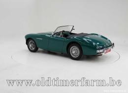 Austin Healey 100 /4 BN1 '54 CH1610